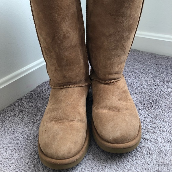 Classic Tall UGG Boot - Picture 1 of 6